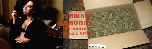 амф Чекалин