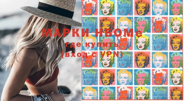 индика Усолье-Сибирское