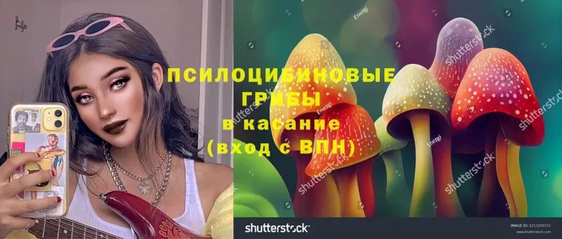 Галлюциногенные грибы Magic Shrooms  мега как войти  площадка формула  Старая Купавна 