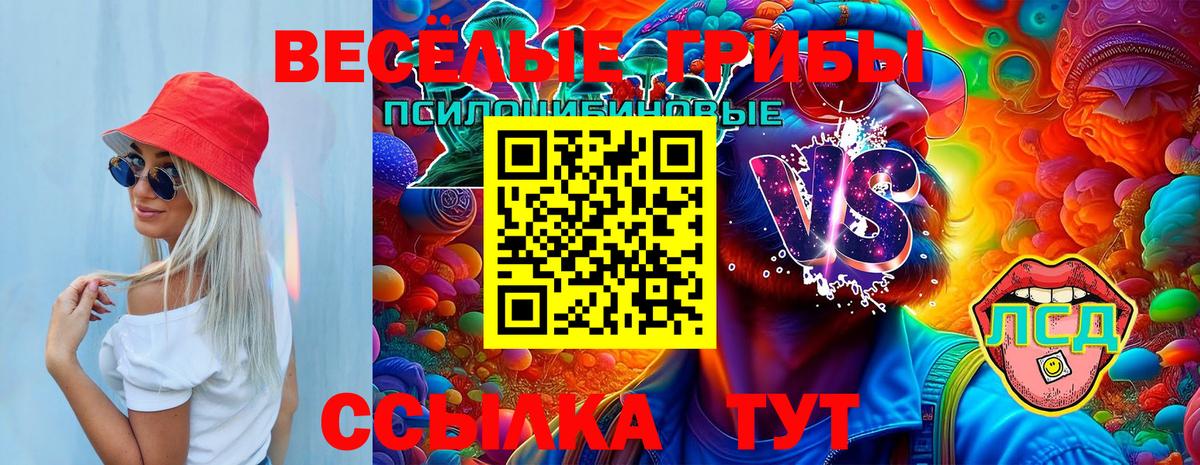 Псилоцибиновые грибы ЛСД  Старая Купавна  Галлюциногенные грибы мицелий 